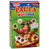 Dr. Oetker Paula Müslispaß Schoko 330g