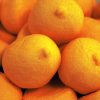 Mellow Mellow Speckbälle orange 1kg