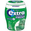 Extra Professional Fresh Spearmint 50er